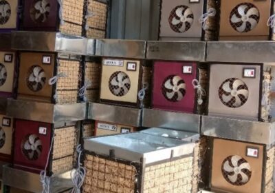 inbound6598982911274240829