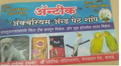 Antic Aquarium & Pet Shop