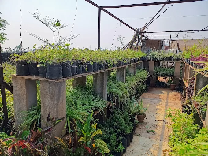 G. S. GARDEN DEVELOPERS & NURSERY MALL