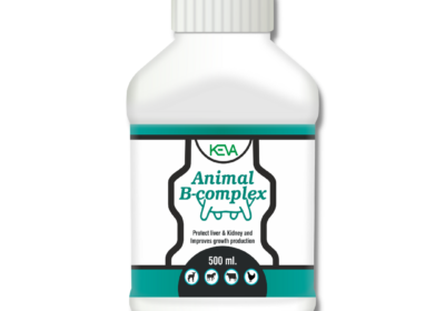 ANIMAL-B-COMPLEX_260422034245