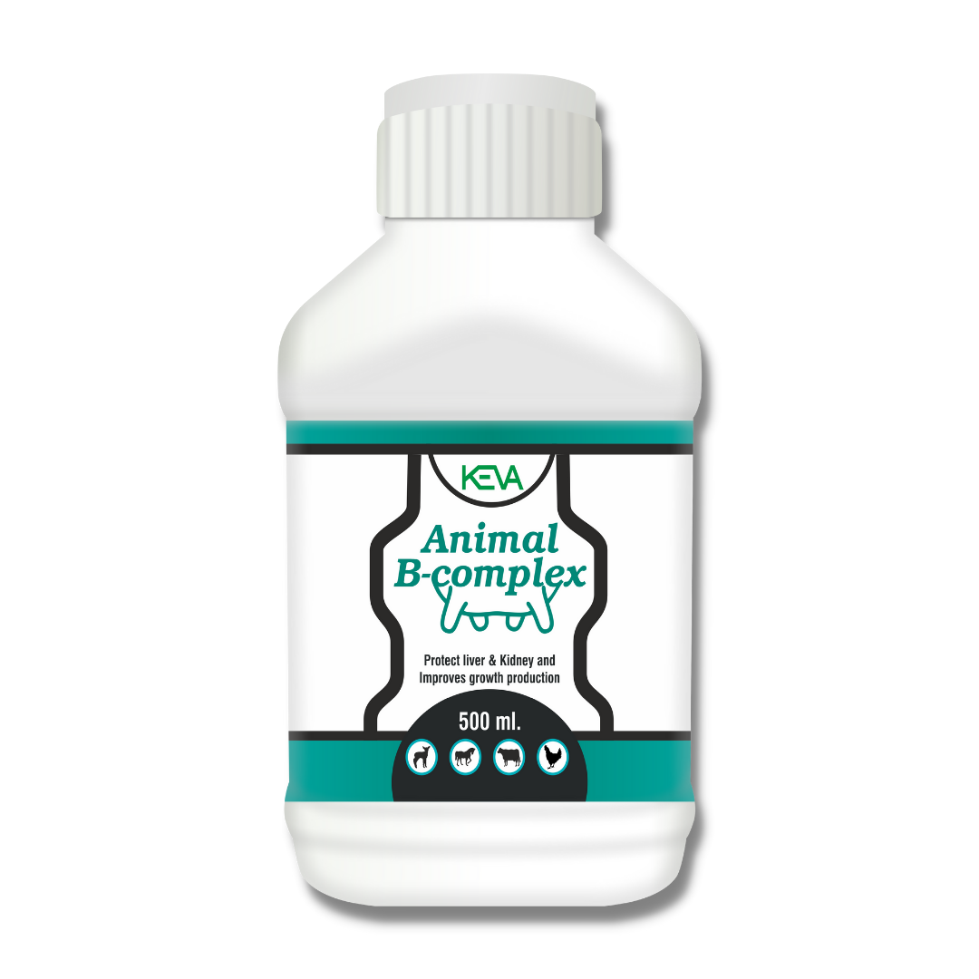 ANIMAL B-COMPLEX |KEVA ANIMAL B-COMPLEX-500ML