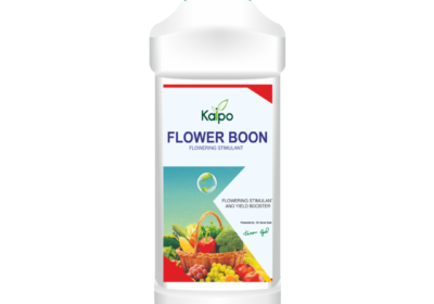 Kaipo-Flower-Boon_270922011156