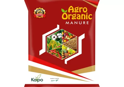 Keva-N.P.K-Organic-Manure-1-kg_170221031953