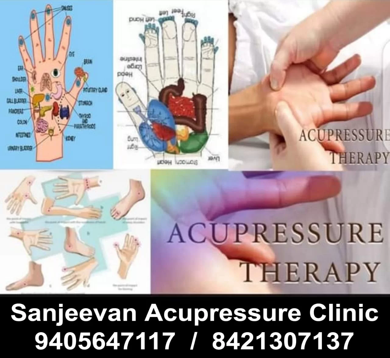 Sanjeevan Naturopathy Centre